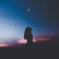 Sleep Now_Ayurveda,Nature Sound Series,Deep Sleep Relaxation