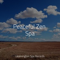 Tranquil Binaural Sounds_Sleep Sounds Rain,Ambient Nature Project,Sleepy Times