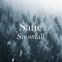 Satie: Gymnopédie No. 1 (Orch. Debussy)_Academy of St Martin in the Fields,Sir Neville Marriner