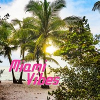 Miami Vibes_Denis Vuk,Giovanni Montagna,Modus,Chiara Causetti,Fabio Arrighini