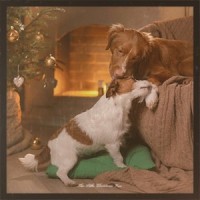 Rockin' Around the Christmas Tree_Brenda Lee