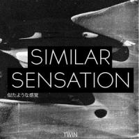 Similar Sensation_Twin,Chigin Dmitriy Vladimirovich