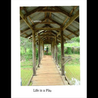 Life is a Play_camino