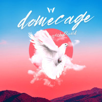 Dome Cage_Wicked,Wild