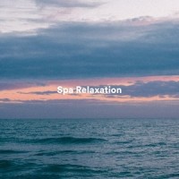 Easy Reflections_Relaxing Spa Music,Best Relaxing Spa Music,Spa