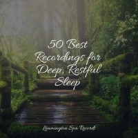Hush Lullaby_Meditation Relaxation Club,Sol y Lluvia,Natural Rain Sounds for Sleeping