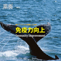 ピンクサンゴ_植地雅哉