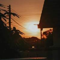 Late Summer_Bad Manners