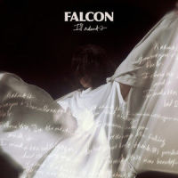 I'll Admit It_Falcon