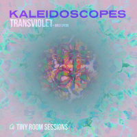 Kaleidoscopes(Tiny Room Sessions)_Greg Spero,Transviolet