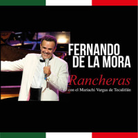 Mujer Ladina (feat. Mariachi Vargas de Tecalitlán)_Fernando De La Mora,Mariachi Vargas De Tecalitlán