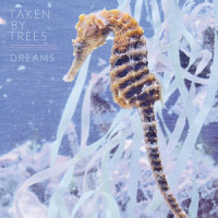 Dreams_Taken By Trees