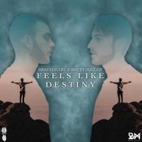 Feels Like Destiny_Brainheart,Brett Miller