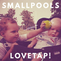 What's That A Picture Of?_Smallpools