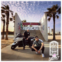 Palmen aus Plastik 2_Bonez MC,RAF Camora