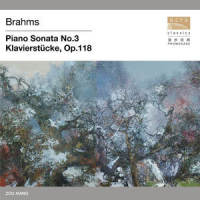 Klavierstücke, Op. 118: V. Romanze. Andante_邹翔,国家大剧院唱片公司