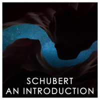Schubert: An die Musik, D.547 (Performed by Clarinet & Piano)_王弢,Michel Kiener