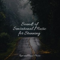 The Calm Beginning_Deep Sleep,Baby Sleep Music,Relaxation Sleep Meditation