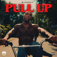 Pull Up_Bizzey