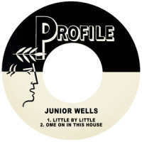 Little by Little_Junior Wells
