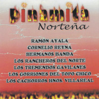 Mi Norteñita_Los Gorriones Del Topo Chico