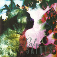 Fell from the Sun_Pale Saints