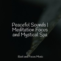 Flight of Mystery_Deep Sleep,Brain Study Music Guys,Música para Relaxar Maestro
