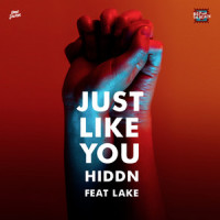 Just Like You (feat. Lake)_HIDDN,Lake,Gultekin Munzur,Dillon James,Fabian Lenssen,Sarah Lake