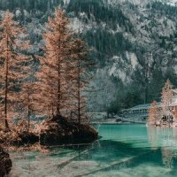 Destiny_Sleepy Times,Sounds of Nature White Noise for Mindfulness Meditation and Relaxation,Sleep Sounds of Nature