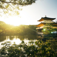 花海_小潘潘