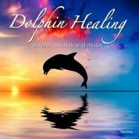 Dolphin City_RELAX WORLD
