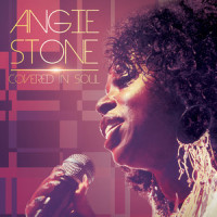 Wish I Didn't Miss You_Angie Stone