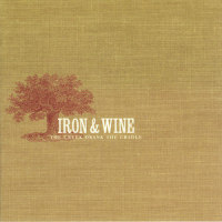 Promising Light_Iron & Wine