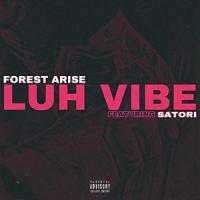 Luh Vibe (feat. Satori)_Forest Arise,Satori