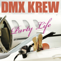 Thought You Were the One_DMX Krew