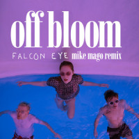 Falcon Eye_Off Bloom