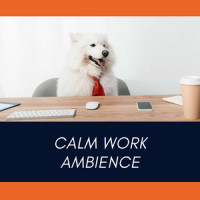 Vibe for Relaxing_Work Music,Focus,Work,Massage Music