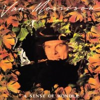 A New Kind of Man_Van Morrison