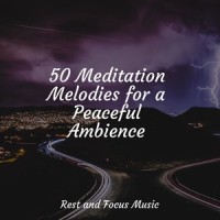 Always Peaceful_Echoes of Nature,Deep Sleep,Spa