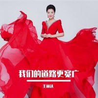 我们的道路更宽广_王丽达
