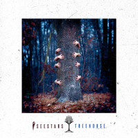 Running With Scissors_I See Stars