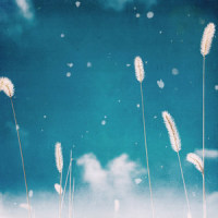 Fall in Love_Landon Austin