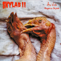 Samba_Rogério Skylab