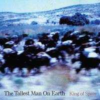 Graceland_The Tallest Man On Earth