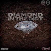Diamond In The Dirt (feat. Cherrie)_Brighty,Cherrie