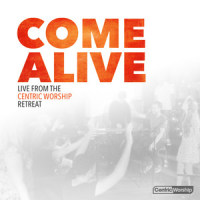 You Have My Surrender_Various Artists,Lauren Daigle