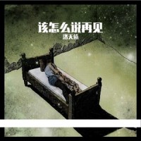 该怎么说再见_洛天依