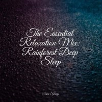 Endless Rains_Sleepy Times,Massagem Guru,Rainforest