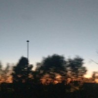 7:30_Quack