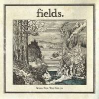 Nine Stones_Fields